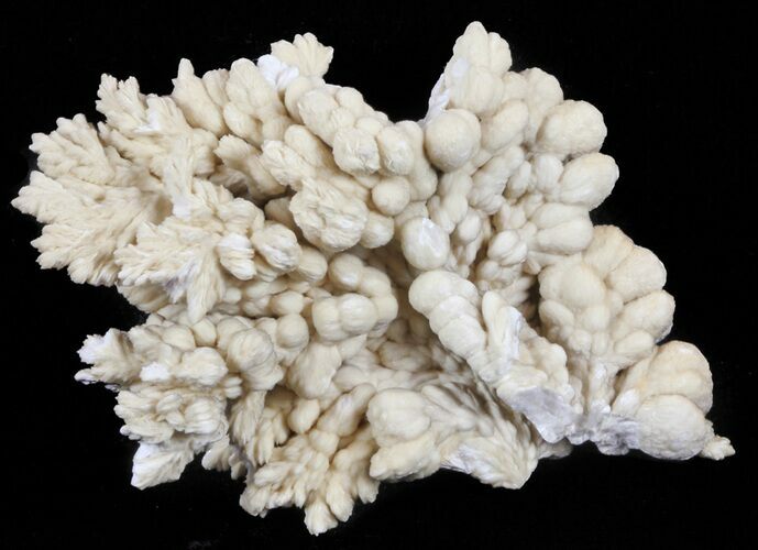 Barite Crystal Cluster - Poland #61759